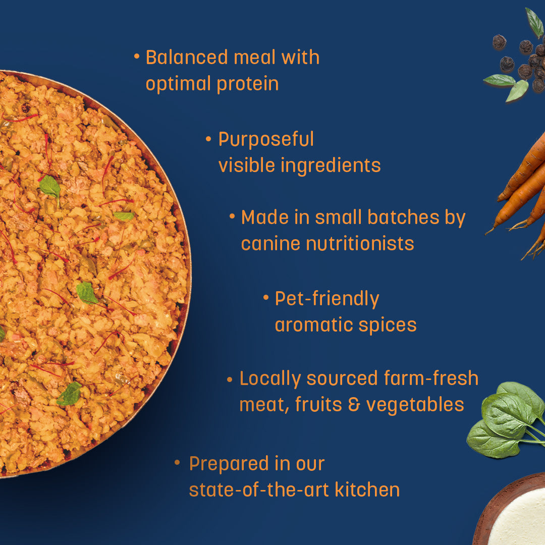 HUFT Sara€™s Wholesome (Flavours of India) - Biryani Dog Food (2 x 300 g) - Heads Up For Tails
