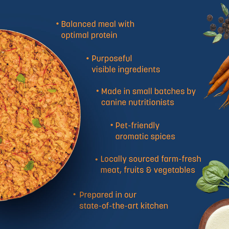 HUFT Sara's Wholesome (Flavours of India) - Biryani Dog Food (2 x 300 g)_04