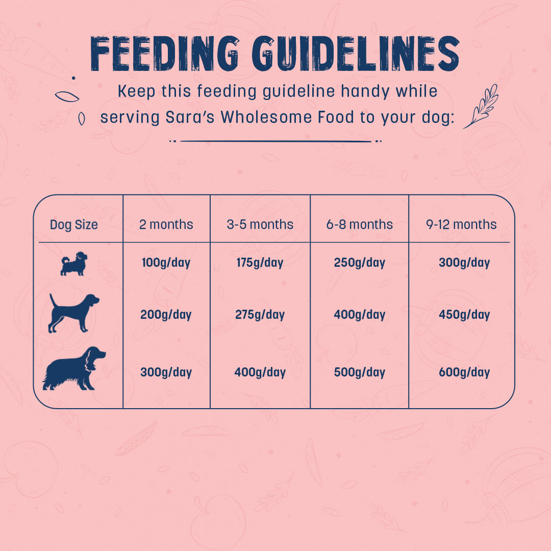 Sara's Wholesome Chicken & Brown Rice Puppy Food - 100 gm - Heads Up For Tails