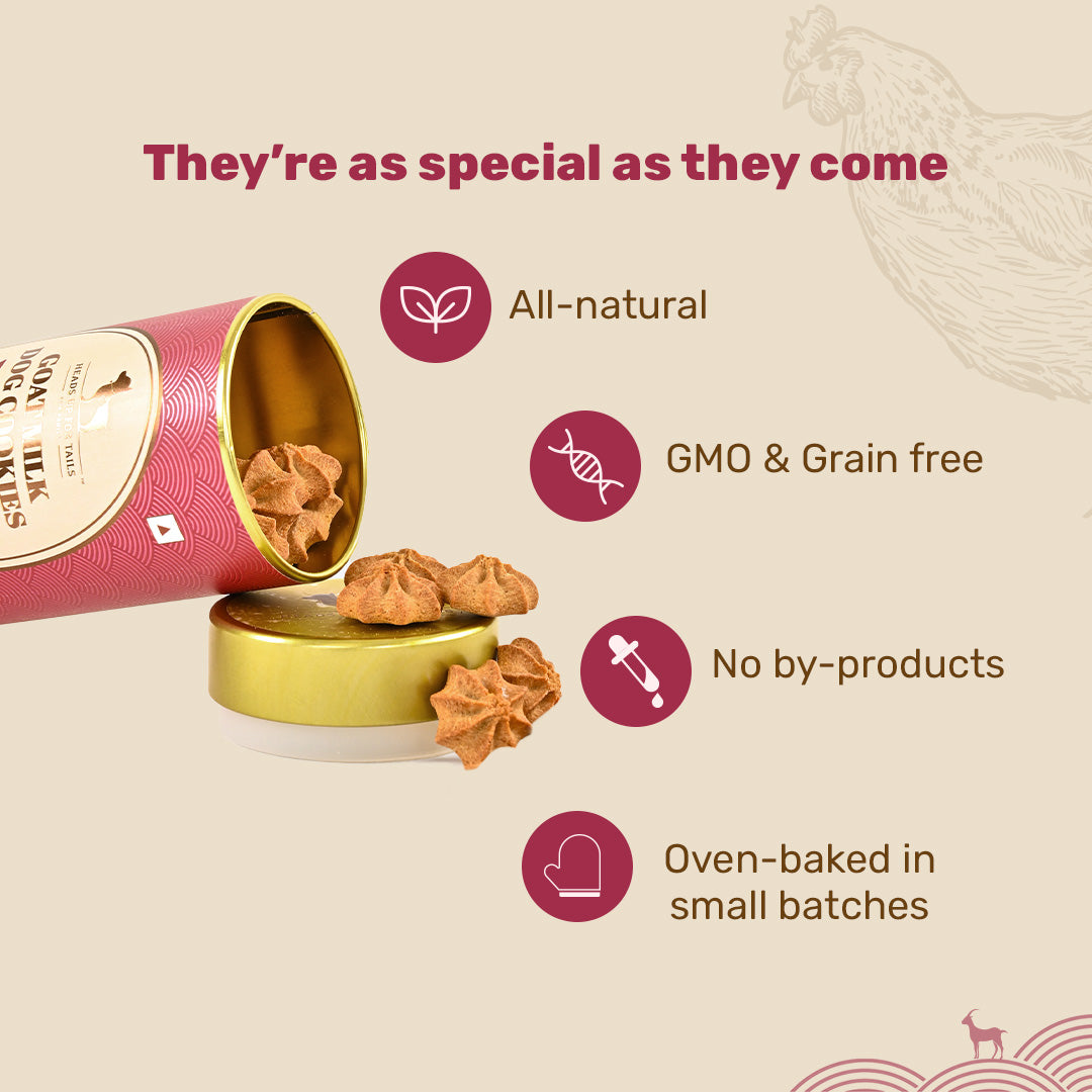 HUFT Goat Milk Dog Cookies - Chicken Liver - 200 g - Heads Up For Tails