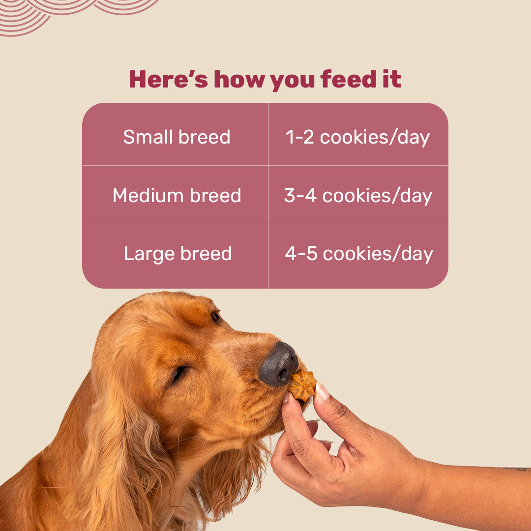 HUFT Goat Milk Dog Cookies - Chicken Liver - 200 g - Heads Up For Tails