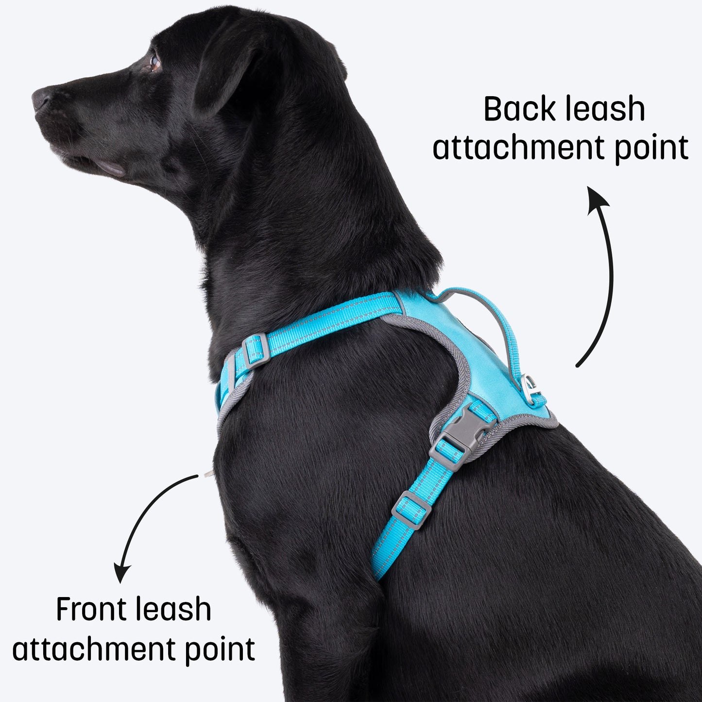 HUFT Active Pet Dog Harness - Light Blue_02