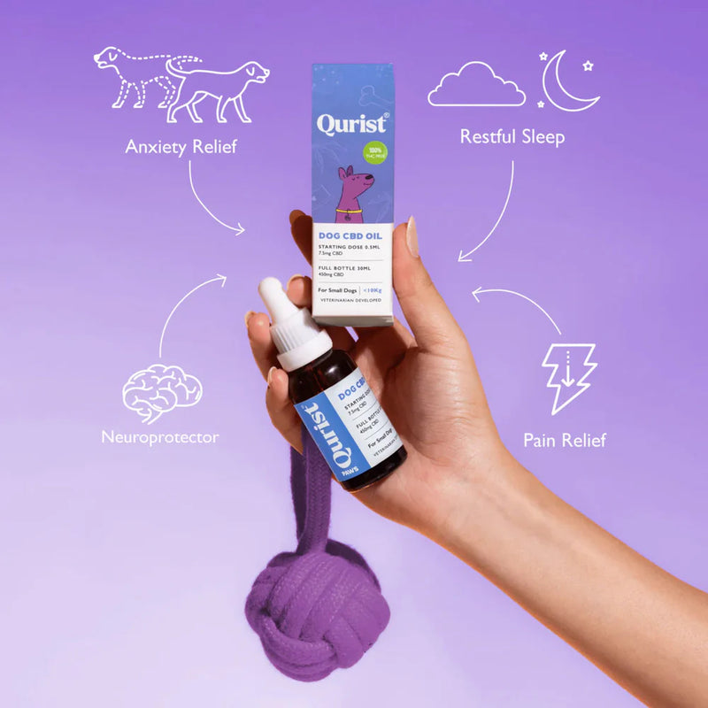 Qurist CBD Oil For Small Dog (Below 10 kg) - 450 mg - 30 ml - Heads Up For Tails