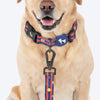 HUFT Playstripes Leash For Dog - Rust & Navy