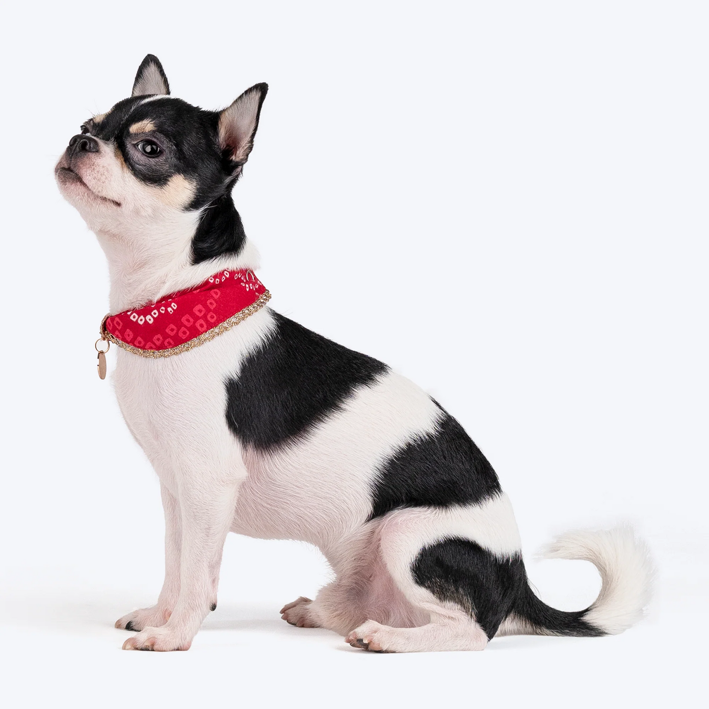 HUFT Bandhani Breeze Scarf For Dog & Cat - Red - Heads Up For Tails