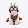 HUFT Customised Rang Rani Lehenga Choli Set For Dog & Cat - Green & Pink