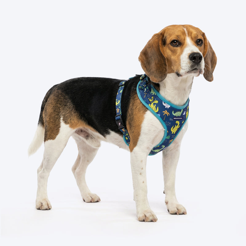 HUFT Dino Land Adjustable Harness For Dog - Blue - Heads Up For Tails