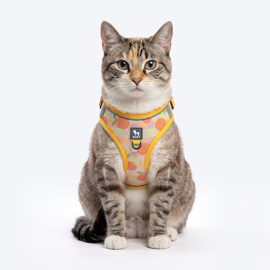 HUFT Easy Breezy Step-In Harness & Leash Set For Cat - Orange - Heads Up For Tails