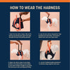 HUFT Trooper Front Leg Support Lift Harness For Dogs - Navy Blue - Heads Up For Tails