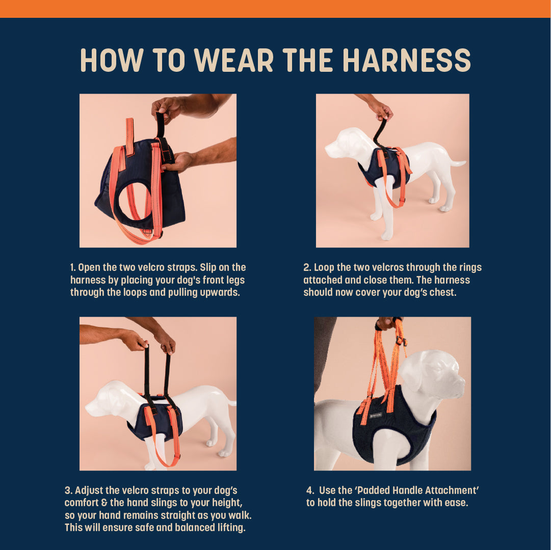 HUFT Trooper Front Leg Support Lift Harness For Dogs - Navy Blue - Heads Up For Tails