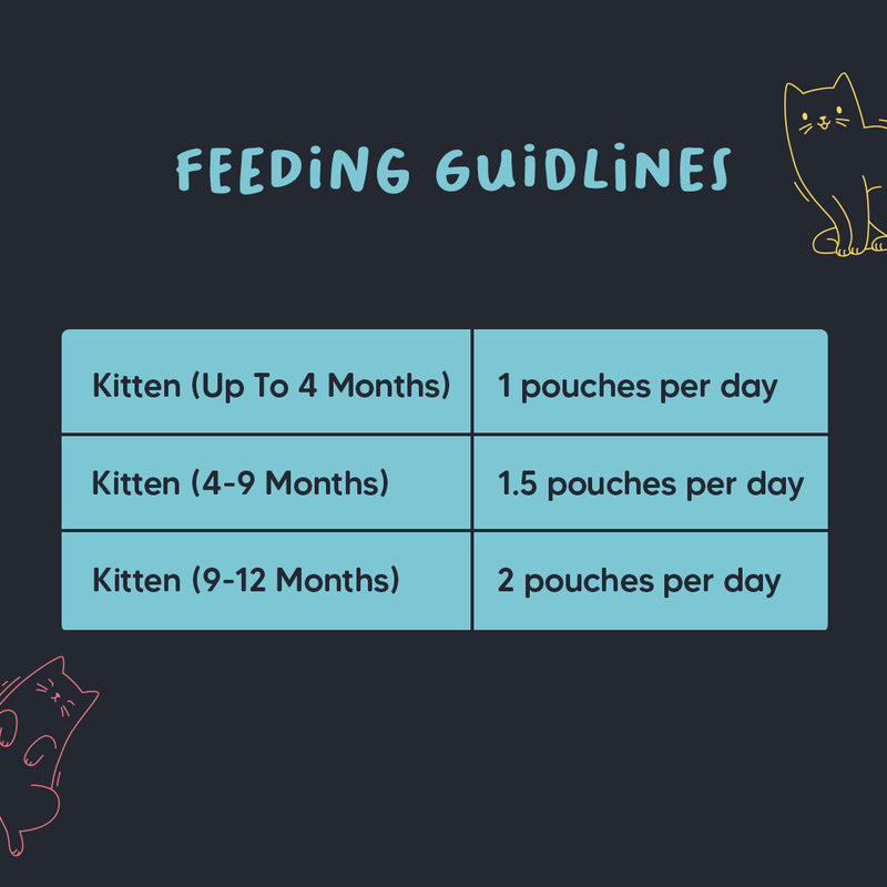 Meowsi by HUFT Chicken & Salmon Mousse Kitten Wet Food, 70 gm, complete meal with vitamins and minerals, grain-free.