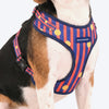HUFT Playstripes Adjustable Harness For Dog - Rust & Navy