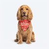HUFT Personalised Berrylicious Bandana For Dog - Red & Pink - Heads Up For Tails