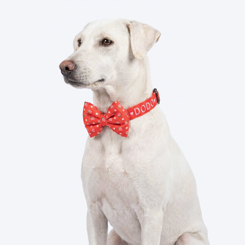 HUFT Personalised Berrylicious Collar With Bow Tie For Dog - Red & Pink - Heads Up For Tails