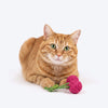 HUFT Cherrie Rattle Toy For Cat - Pink