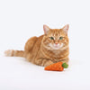 HUFT Carrotini Rattle Toy For Cat - Orange