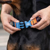 Dash Dog Padded Collar For Dog - Blue & Orange