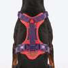 Dash Dog Walk Pro Harness For Dog - Red & Purple