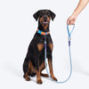 Dash Dog Zoom Easy Leash For Dog - Blue