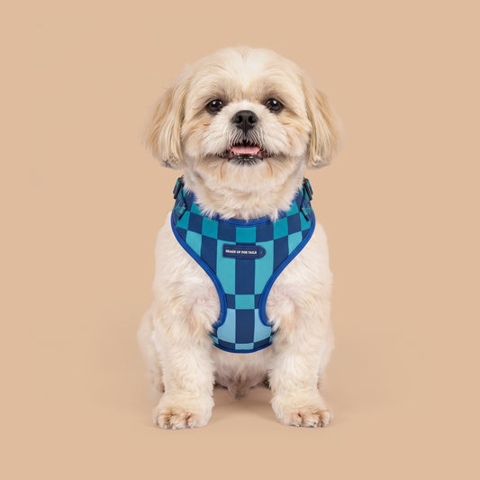 HUFT Frosted Checks Adjustable Harness For Dog - Blue