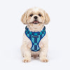 HUFT Frosted Checks Adjustable Harness For Dog - Blue
