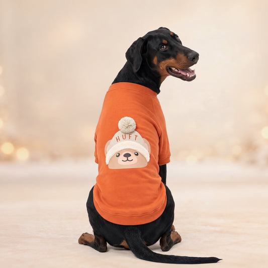 HUFT Pumpkin Bear Sweatshirt For Dog - Orange