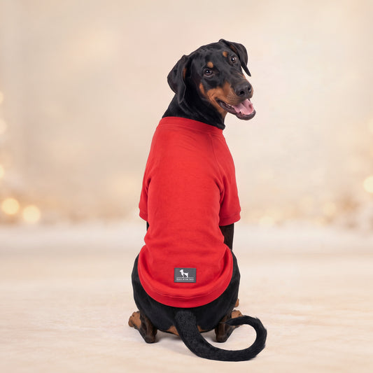 HUFT Koko Koala Sweatshirt For Dog - Red