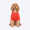 HUFT Bestie Snuggle Sweatshirt For Dog - Red