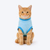 HUFT Peek -A- Meow T-Shirt For Cat - Blue