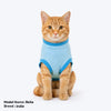 HUFT Peek -A- Meow T-Shirt For Cat - Blue - Heads Up For Tails