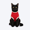 HUFT Bear Hug T-Shirt For Cat - Red