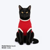 HUFT Bear Hug T-Shirt For Cat - Red - Heads Up For Tails