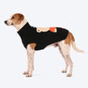 HUFT Cosy Bear Sweater For Dog - Black