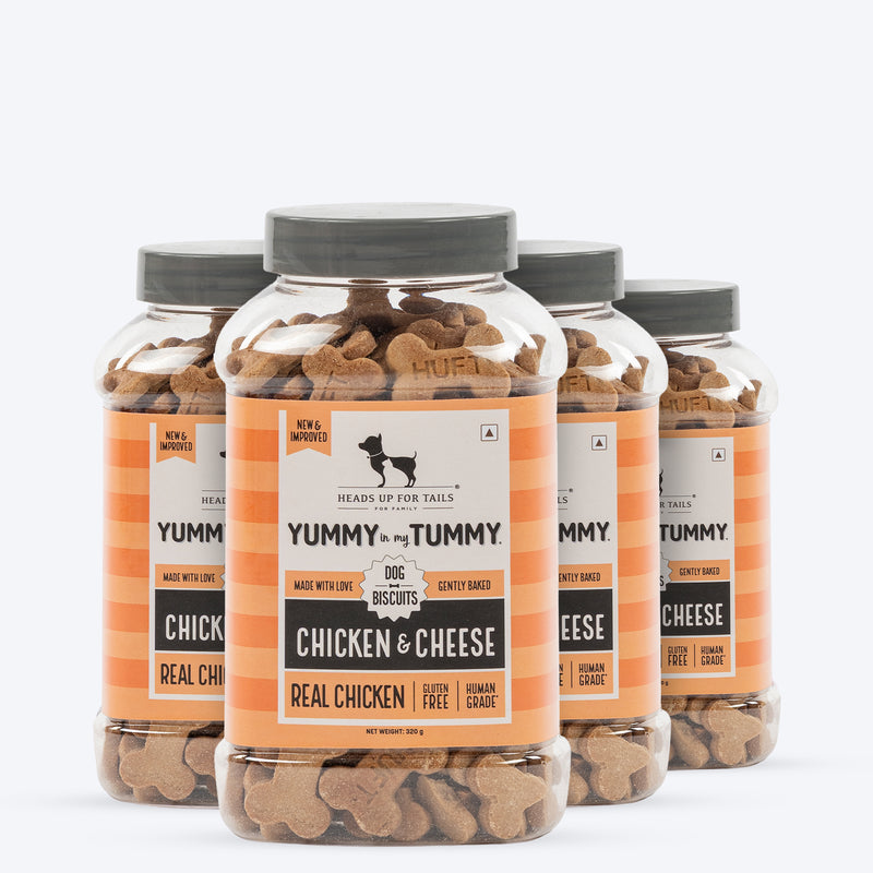 HUFT Yummy In My Tummy Gluten-Free Dog Biscuits Oven-Baked, High Protein, Easy to Digest - Heads Up For Tails