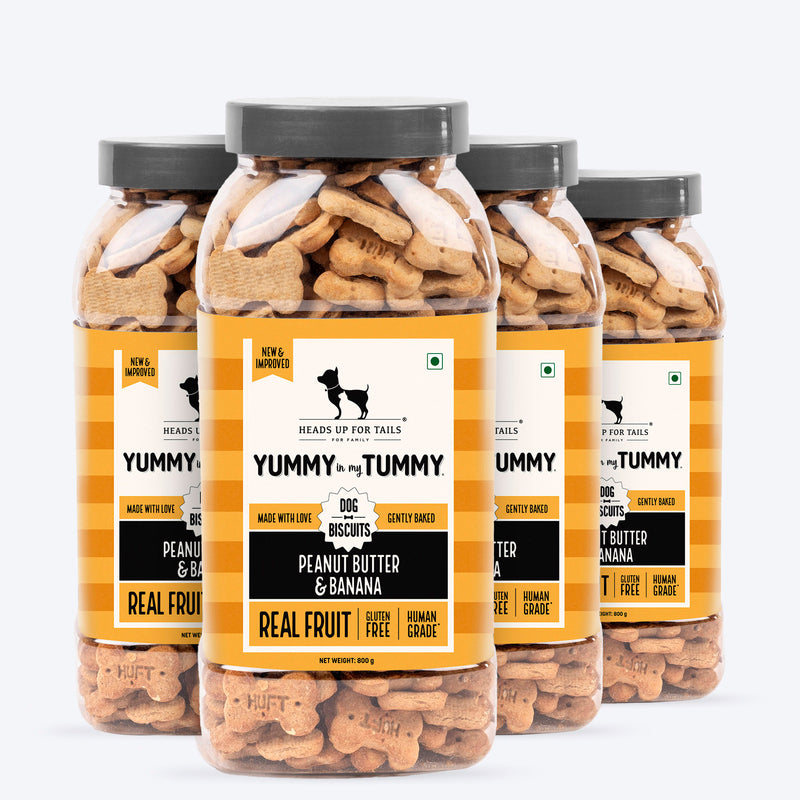 HUFT Yummy In My Tummy Peanut Butter & Banana Gluten-Free Dog Biscuits Vegetarian, Human-Grade Ingredients - Heads Up For Tails