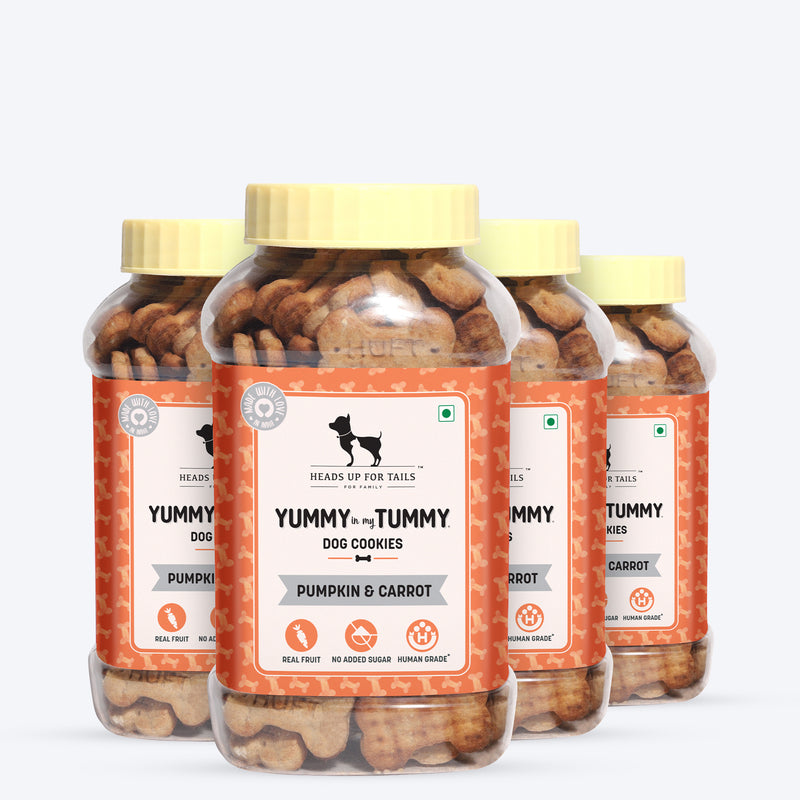 HUFT Yummy In My Tummy Pumpkin & Carrots Vegetarian Dog Biscuits - 320 gm - Heads Up For Tails