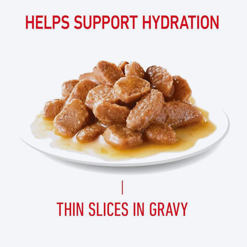 Royal Canin Hair & Skin Care In Gravy Adult Cat Wet Food - 85 g_07