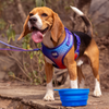 HUFT Collapsible Travel Bowl For Dog & Cat - Blue