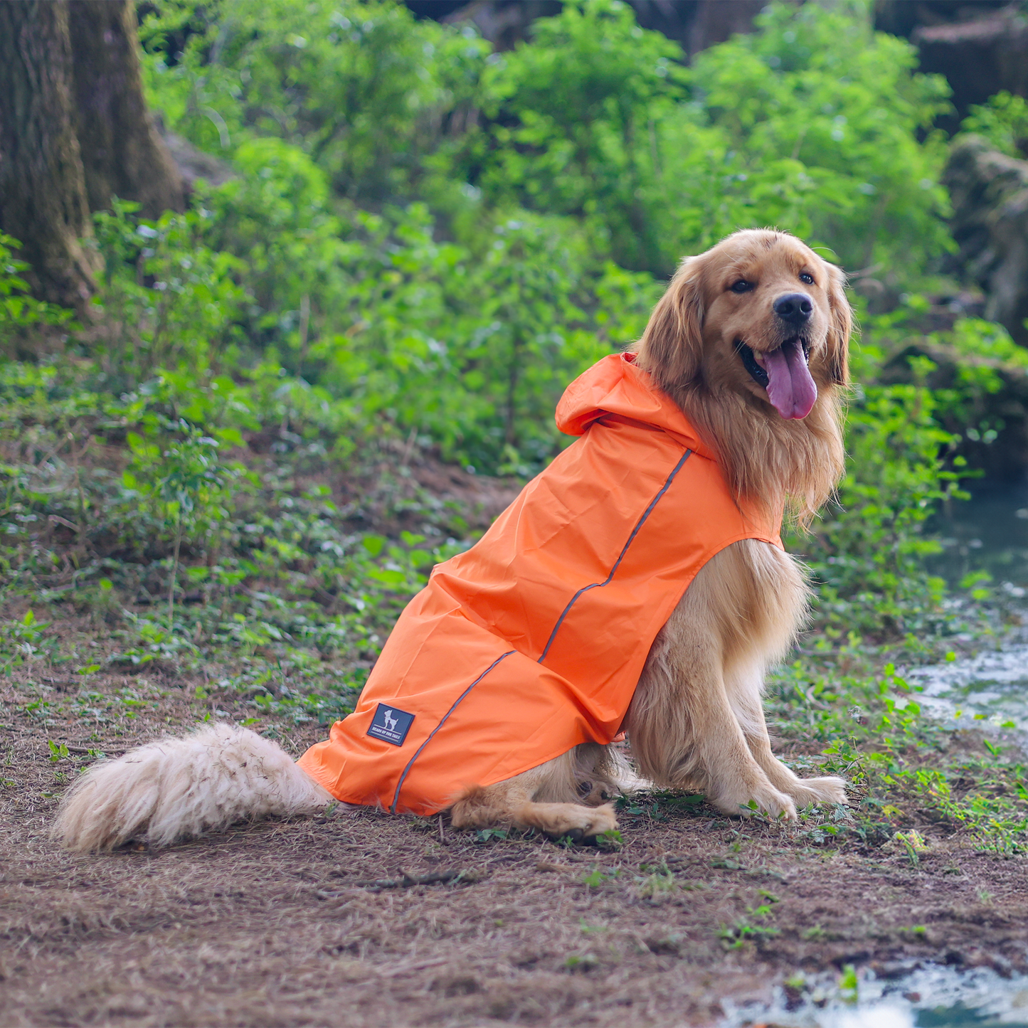 HUFT Rain Dancers Raincoats For Dog & Cat - Orange - Heads Up For Tails