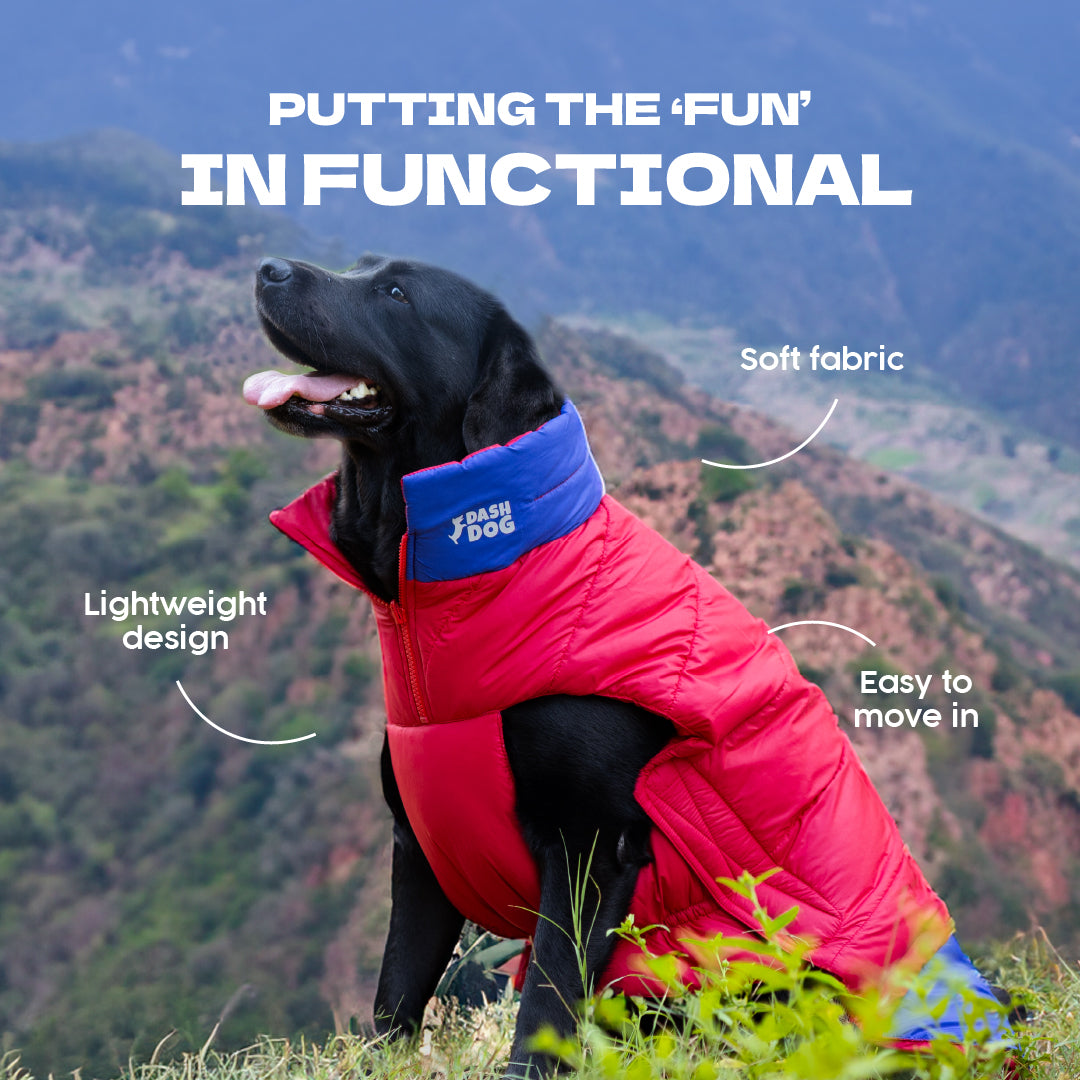 Dash Dog Outbounders Puffer Jacket For Dog - Red & Blue - Heads Up For Tails