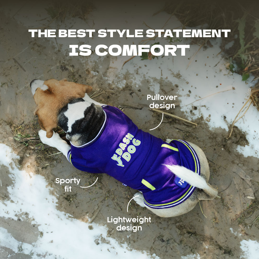 Dash Dog Trailblazer Pocket Sweatshirt For Dog - Purple - Heads Up For Tails