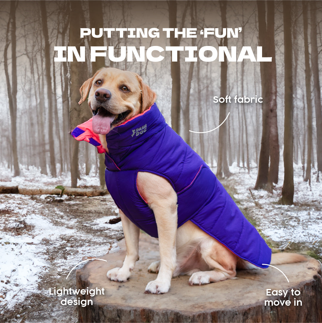 Dash Dog Swift Strides Puffer Jacket For Dog - Purple & Pink - Heads Up For Tails
