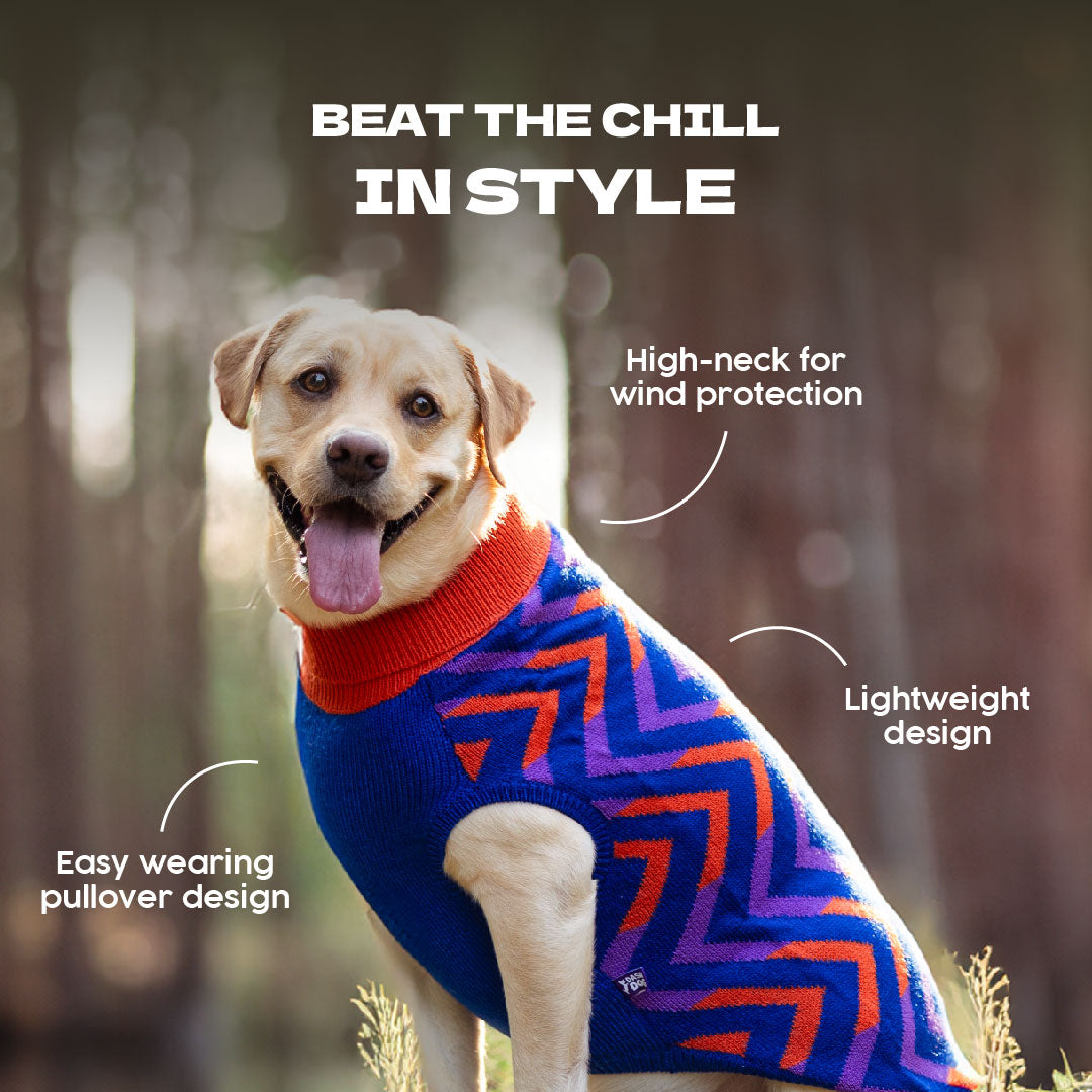Dash Dog Fuzz Friends Sweater For Dog - Purple - Heads Up For Tails