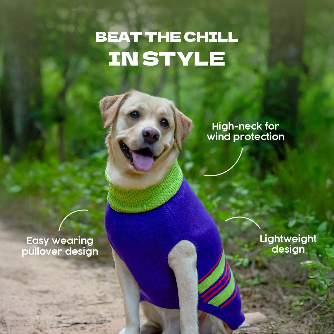 Dash Dog Winter Prism Sweater For Dog - Purple - Heads Up For Tails