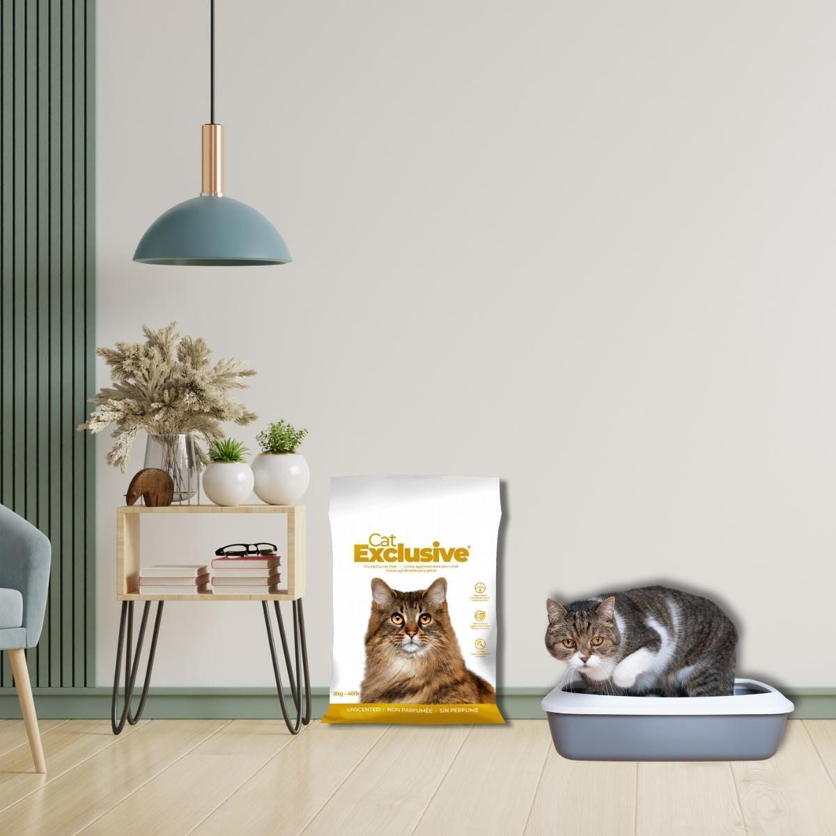 Intersand Cat Exclusive Clumping Cat Litter - 10 kg - Heads Up For Tails