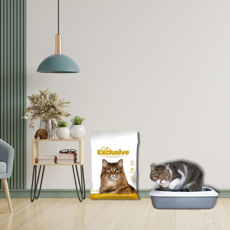 Intersand Cat Exclusive Clumping Cat Litter - 10 kg - Heads Up For Tails