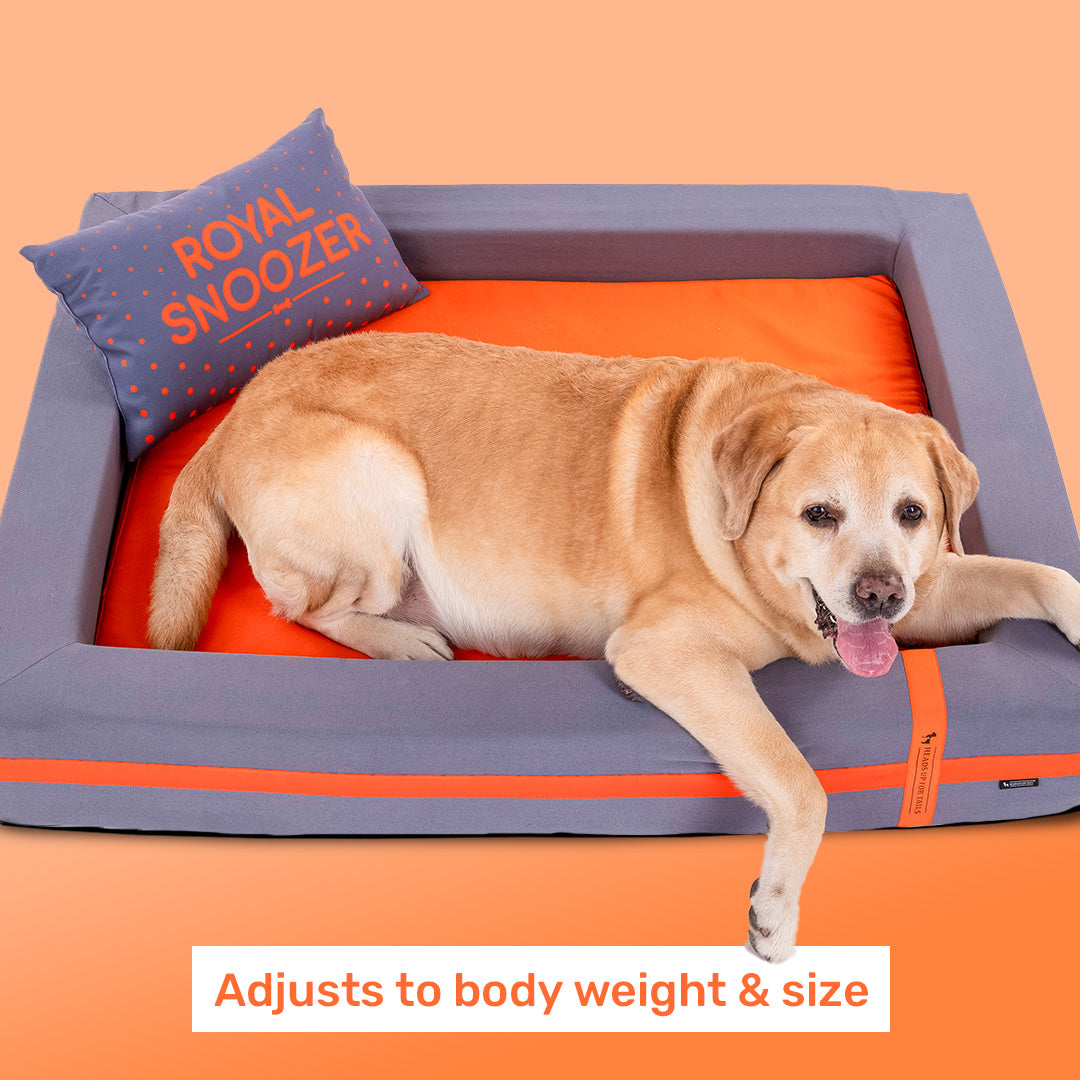 HUFT Royal Snooze Bed for Dog - Grey & Orange - Heads Up For Tails