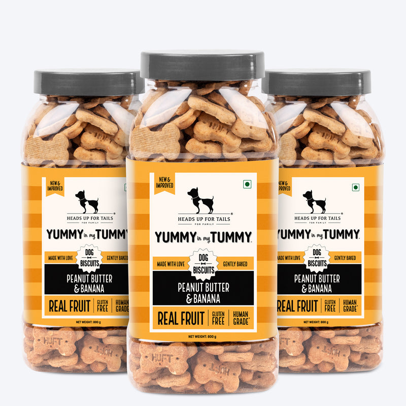 Heads Up for Tails Yummy in my Tummy Peanut Butter & Banana Dog Biscuits, 800g, gluten-free, gently baked treats