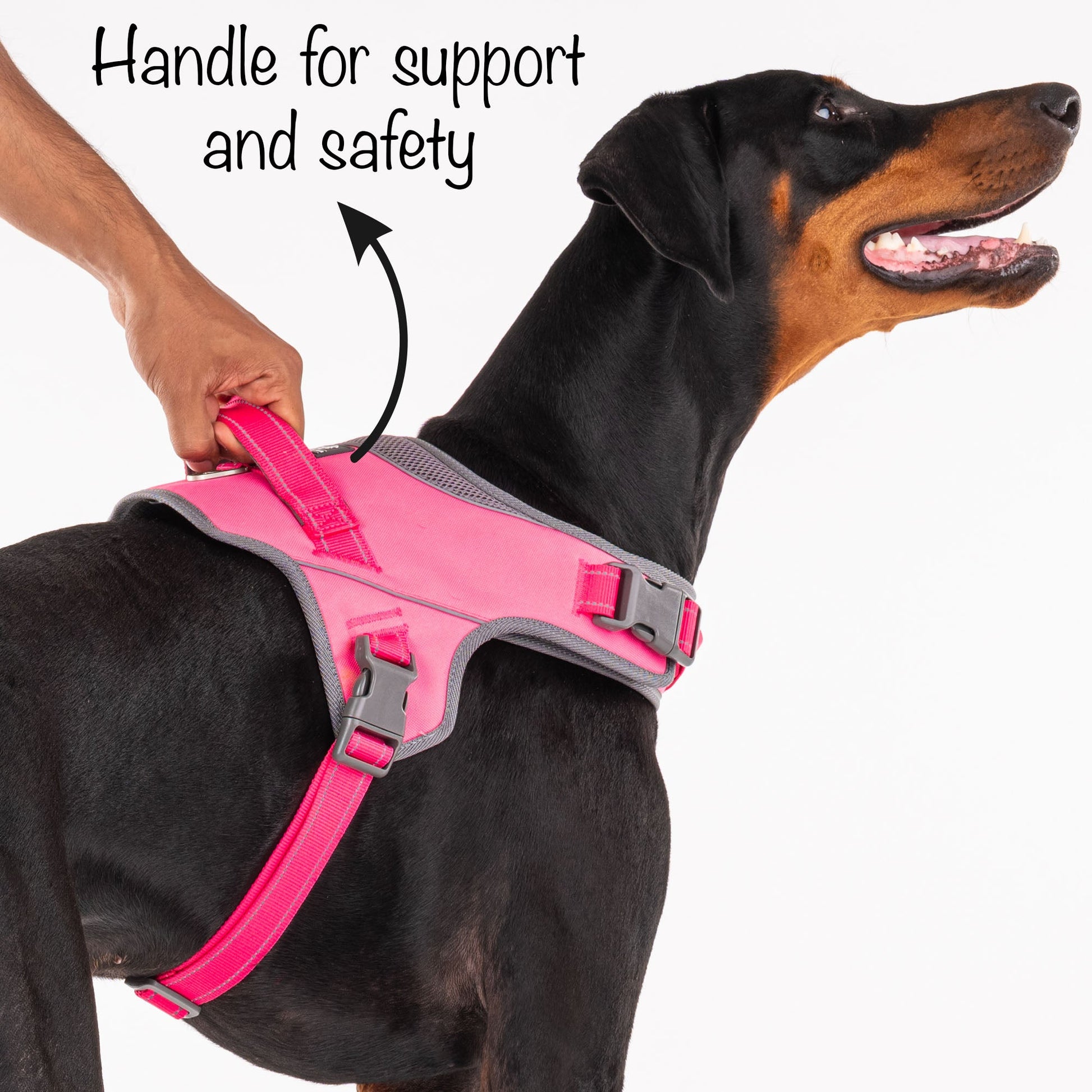 HUFT Easy On Dog Harness - Pink - Heads Up For Tails