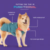 Dash Dog Puffer Dog Jacket - Aqua & Coral - Heads Up For Tails
